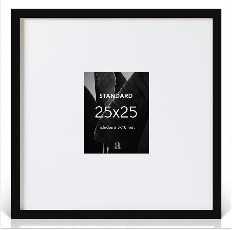 Artisane Home Goods 25x25 Picture Frame Matched to 8x10 - Black - Standard Variation