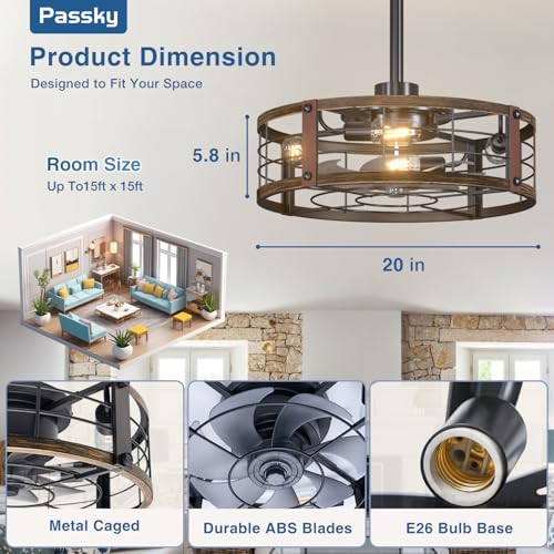 Black Brushed Gold Passky 20-inch Caged Ceiling Fan with Lights and Remote