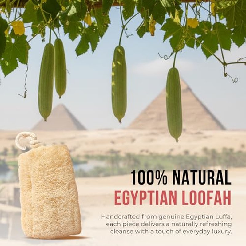 CraftsOfEgypt Luffa Body Scrubber ? Plant-based Egyptian loofah shower sponge for men and women, luxury bath loofah sponge for face, back & body, gentle body scrubber, spa loofah pack of 3, 6x6 Inches