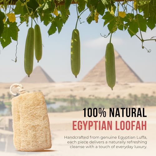 Natural Egyptian Loofah Sponge Pack of 4 - Deep Exfoliating Bath & Shower Scrubbers for Face, Back & Body, 6x6 Inches, Eco-Friendly