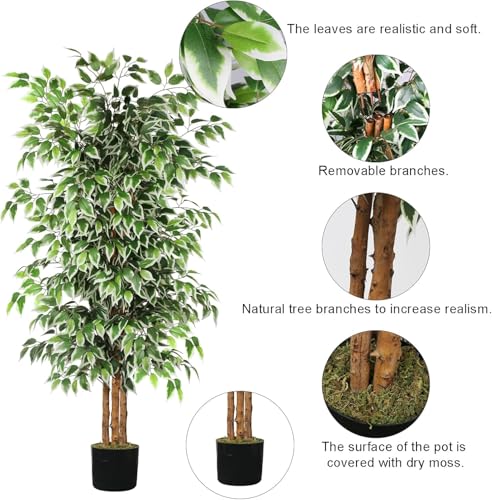 6 FT Artificial Ficus Tree with Real Wood Trunks - 2 Pack Indoor Decor Variation of This Listing