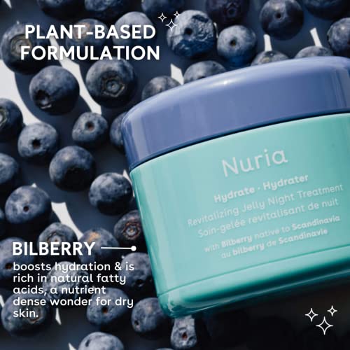 Hydrating Night Face Moisturizer Jelly Mask for All Skin Types - 55g