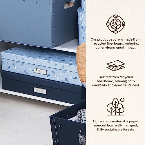 Bigso Sverker Fiberboard Legal & Art Storage Box with Lid, Blue
