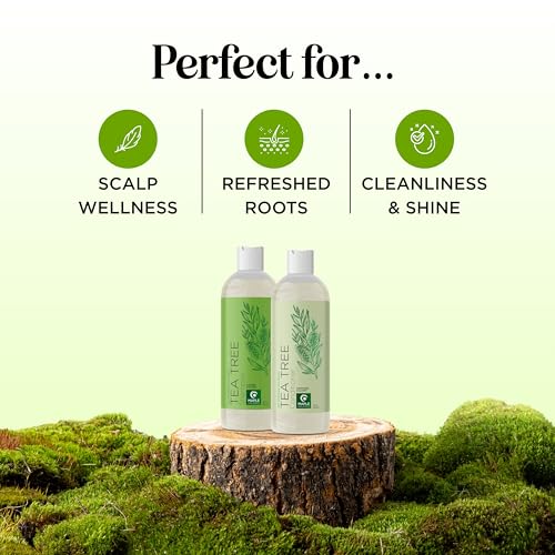 Maple Holistics Tea Tree Oil Shampoo & Conditioner Set 12 Fl Oz Pack of 2 - Sulfate-Free Clarifying Hair Care for Oily & Dry Scalp