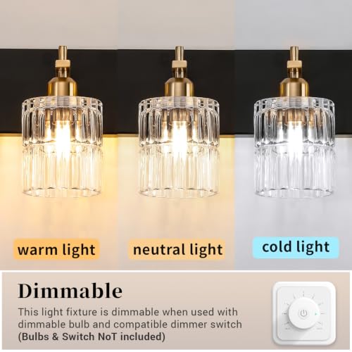 OCIOC 3-Light Bathroom Vanity Light Black & Gold Wall Sconce with Glass Shades - Farmhouse Style