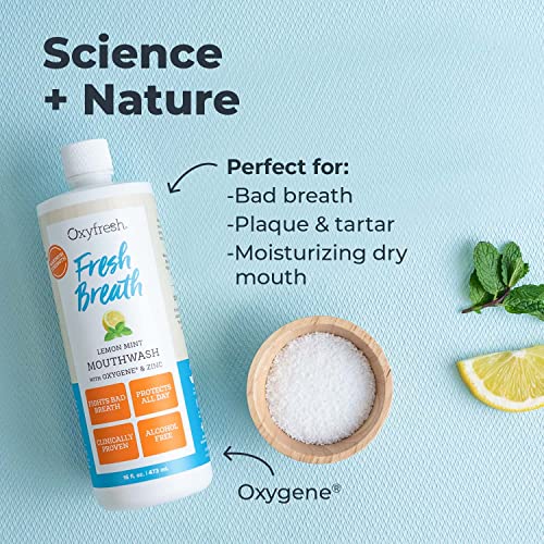 Oxyfresh Lemon Mint Mouthwash 16 Fl Oz Pack of 2 – Bad Breath & Plaque Control, Alcohol & Fluoride Free