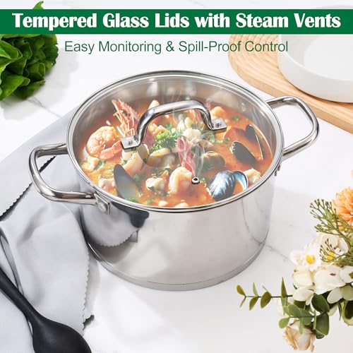 E-far 10-Piece Stainless Steel Cookware Set with Glass Lids, Induction Ready
