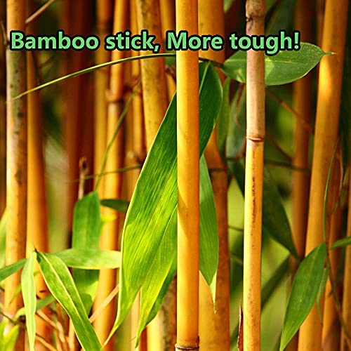 3600pcs Double-Pointed Cotton Swabs for Makeup, Bamboo Stick, 36 x 100ct