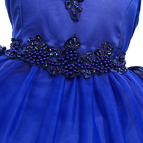 Flower Girl's Dress Princess Puffy Tulle Dresses Bridesmaid Wedding Communion Birthday Party Pageant Maxi Prom Gown for Kids