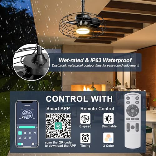 Coolbull 20'' Black Outdoor Ceiling Fan with Light & Remote - 3-Blade, Waterproof