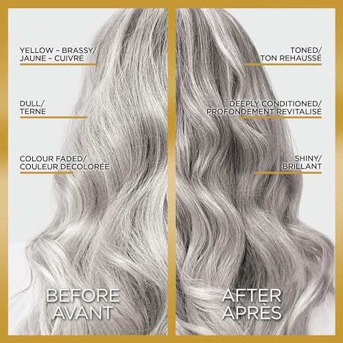 L'Oreal Paris Le Color Gloss One Step In-Shower Toning Hair Gloss - Silver / 4 Fl Oz (Pack of 2)