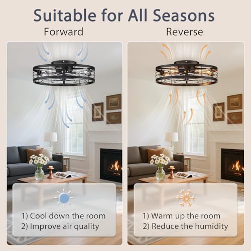 Black 19.7 Inch Caged Ceiling Fan with Light Remote Control Farmhouse Style