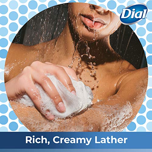 Dial Spring Water Body Wash 32oz - Hydrating, Refreshing Scent for Gentle Clean