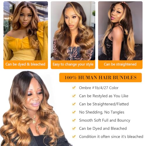 Brazilian Human Hair Extensions - Ombre Body Wave Bundle 10 Inches #1b/4/27