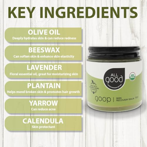 All Good Goop Organic Skin Care Recovery Balm 4oz Pack of 2 - All-Purpose Moisturizer & Soothing Salve with Calendula & Lavender