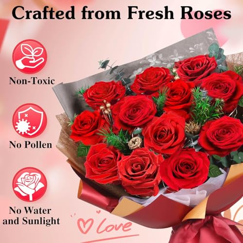 Preserved Red Roses Bouquet with LED Lights - 12 Roses Gift for Her, Anniversary & Birthday