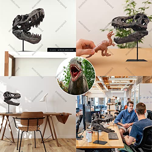 Large T Rex Skull Dinosaur Resin Statue - Fossil Replica Skeleton Decor