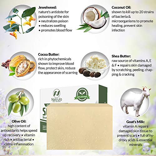 Poison Ivy Soap Bar with Jewelweed - Soothing, Healing Natural Itch Relief Herbal Treatment Home Remedy - Relieves Itchy Irritated Skin Affected by Poison Ivy/Oak/Sumac, Bites, Razor Burn, Ringworm