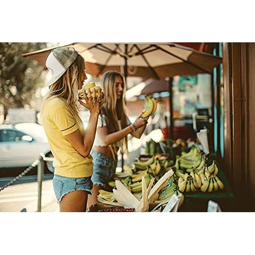 Sun Bum Protecting Heat Protector Spray | Heat Protectant Hair Spray | Frizz Control | Sulfate Free | Paraben Free | Color Safe | 6 Ounce Bottle | 2 Count