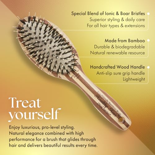 Eco-Friendly Bamboo Ionic Paddle Hair Brush with Boar Combo - Healthy Hair