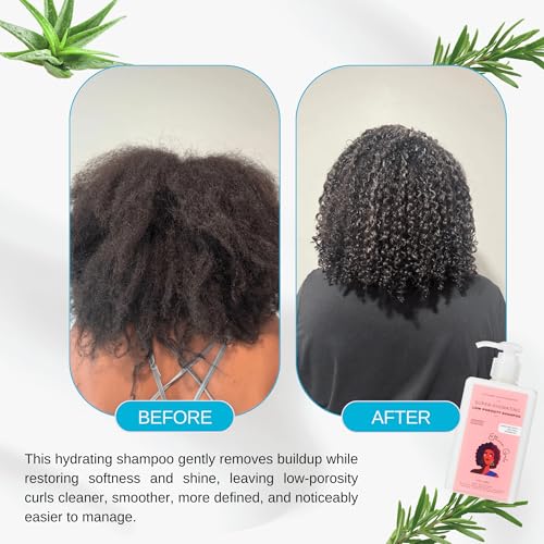 Ethnic Gals Low Porosity Shampoo - 1-Pack Hydrating & Moisture-Locking for Curly Hair