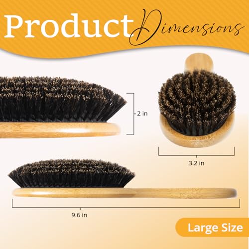 Belula Large Boar Bristle Hair Brush Set for Thin & Fine Hair - Natural Shine & Volume