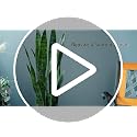 Green 2-Pack Artificial Snake Plants - Lifelike Indoor Faux Sansevieria