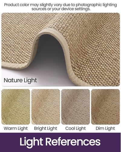 DEXI Ultra Thin Indoor Door Mat 36x56 Beige Non Slip Entrance Rug