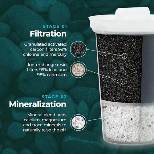Santevia MINA Alkaline Water Filter 3-Pack | Adds Minerals & Removes Lead & Chlorine