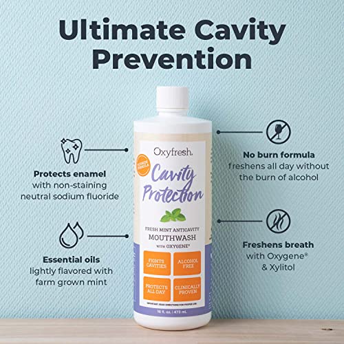 Oxyfresh Cavity Protection Fluoride Mouthwash 16 Fl Oz Pack of 3 - Alcohol-Free Fresh Mint