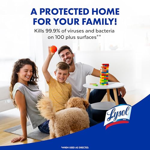 Household Disinfectant Spray - Multi-Purpose Room & Upholstery Sanitizer - Crisp Linen, 19 Fl Oz, Pack of 12 - Home Essential