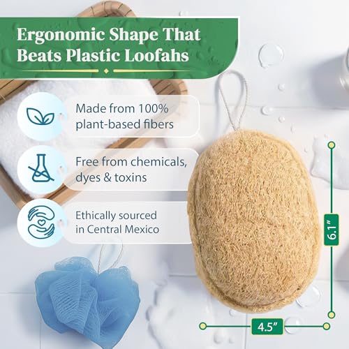 4 Pack Oval Natural Loofah Sponges - Exfoliating Body Scrubber for Shower