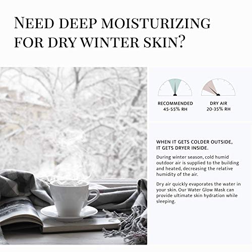Snow White Water Glow Mask Cream | Over 8M Units Sold | Original Moisturizing Washless Sleeping Pack | Skin Rejuvenation and Hydration | Daily Self Skin Care, Korean Beauty | 3.71 oz