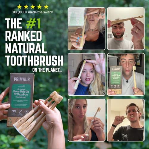 Primals 4-Pack Biodegradable Boar Bristle & Bamboo Toothbrushes - Eco-Friendly, Plastic & Nylon Free, Quick Dry, Variation: 1 Count Pack of 4
