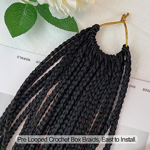 20 Inch Ombre Crochet Box Braids for Black Women - 6 Packs, 1B/30/27 Variation