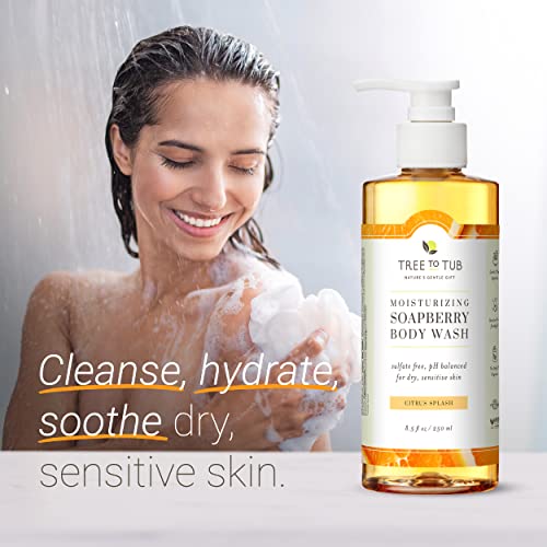 Tree to Tub Citrus Body Wash for Dry Skin Sensitive Skin & Shea Butter Hand Cream for Dry Cracked Hands - pH Balanced Moisturizing Body Wash & Moisturizing Sensitive Skin Hand Lotion for Women & Men