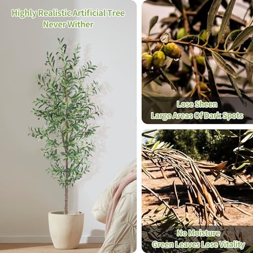 7FT Artificial Olive Tree Indoor Faux Plant with Trunk 1048 Leaves & 40 Fruits - 1 Pack