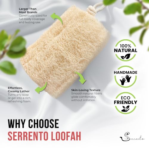 Natural Egyptian Loofah Sponge Pack of 4 - Deep Exfoliating Bath & Shower Scrubbers for Face, Back & Body, 6x6 Inches, Eco-Friendly