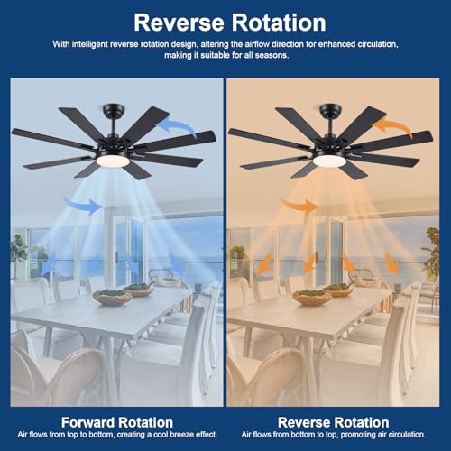 52-Inch Indoor Outdoor Ceiling Fan with Lights - Black, Remote & App Control