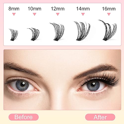 DIY Lash Extension Kit Individual Lashes Cluster D Curl Eyelash Extension Kit 40D 8-16mm Mix Lash Clusters with Lash Bond and Seal and Lash Applicator Tool for Self Application at Home