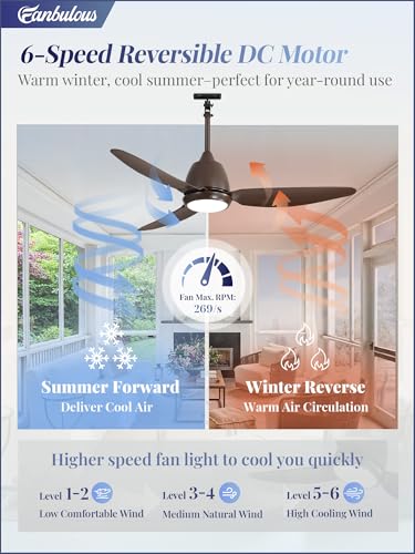 Outdoor Ceiling Fan with Light 42 Inch Bronze IP65 Waterproof Plug-In