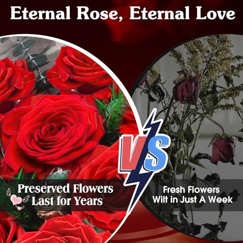 Preserved Red Roses Bouquet with LED Lights - 12 Roses Gift for Her, Anniversary & Birthday