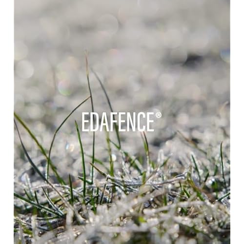 Endocare ? C Ferulic Edafence¢ç Serum Siero viso intensivo 30ml