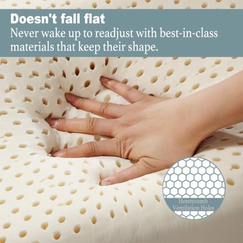 Premium Talalay Latex Pillow - Standard Mid Loft, Natural Support for Side & Back Sleepers