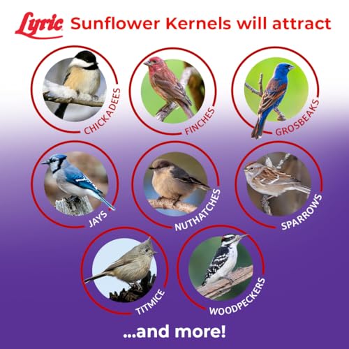 25 lb Wild Bird Seed with Sunflower Kernels No Waste | Attracts Finches & Songbirds