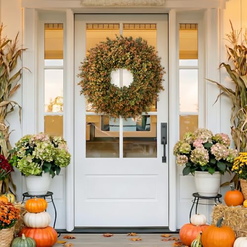 Waipfaru 2-Pack 26-Inch Fall Boxwood Wreaths for Front Door, Orange-Green