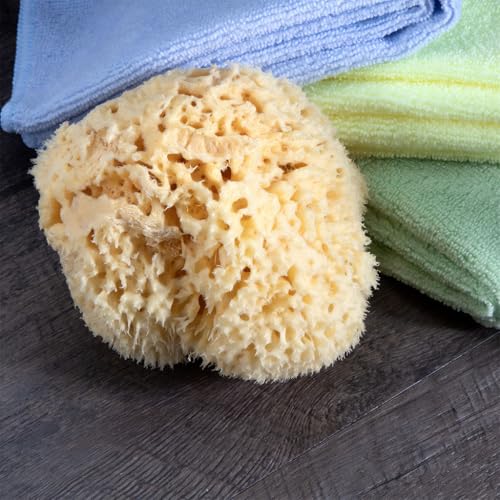 Renewable Sea Wool Sponge, Hand Cut, Large, Approx. 6-7"