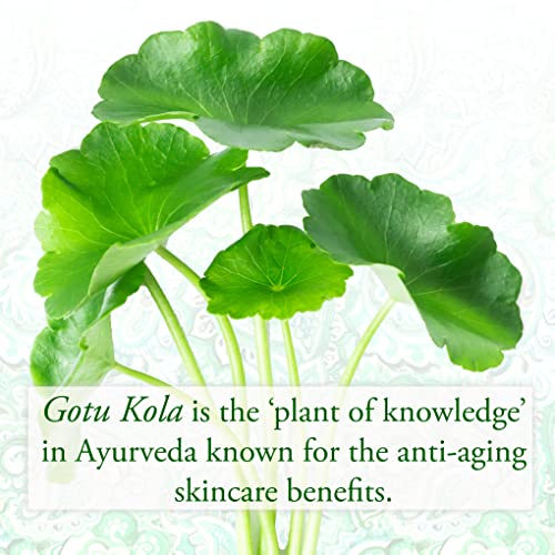SUNDARI Gotu Kola & Lotus Body Oil, 3.4 Fl Oz, Soothing Daily Care Formula for Delicate Hydration, Firm and Tone Skin with Natural Botanicals