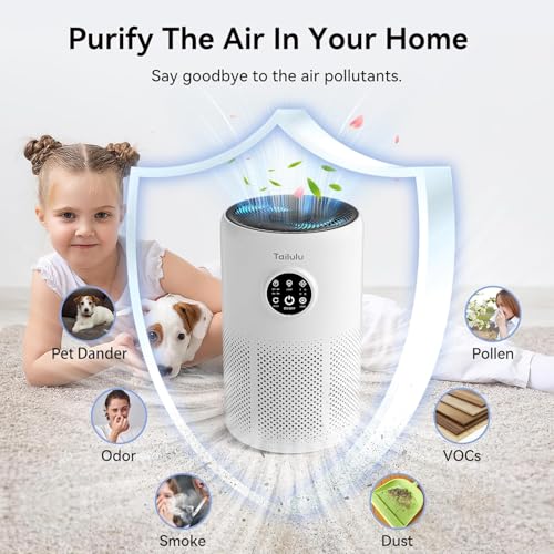 Tailulu White Air Purifier for Home & Bedroom Up to 1600 sq ft with Washable Filter
