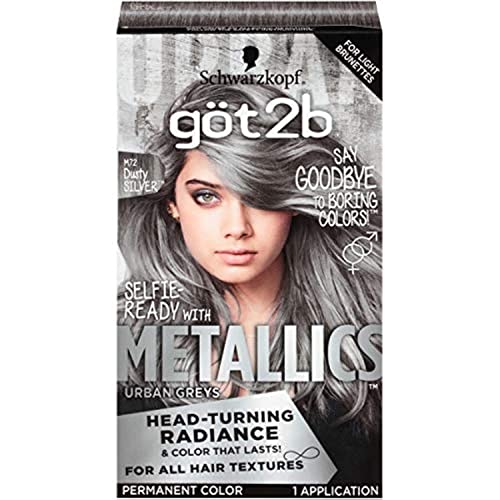 Got2B Metallics Permanent Hair Color Duo - Dusty Silver & Silver